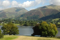 Wentworth - B31 - Between the Trees Grasmere - 250 Piece Wooden