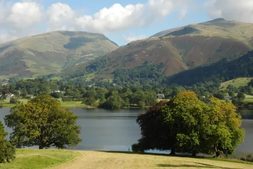 Wentworth - B31 - Between the Trees Grasmere - 250 Piece Wooden