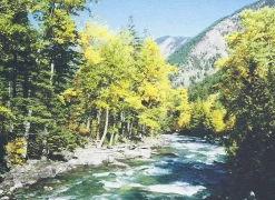 Wentworth - B27 - Mountain River British Columbia Canada - 140piece (Wooden)