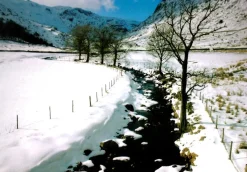 Wentworth - B2 - Wythburn, Thirlmere, Lake District, Cumbria - 1000 Piece Wooden
