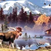 White Mountain - 416 - Moose Pond (Howard Robinson) - 550piece