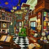 White Mountain - 1526 - Rare Book Store (Joelle McIntyre) - 1000 Piece