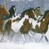 White Mountain - 357 - Wild Beauty - 1000piece