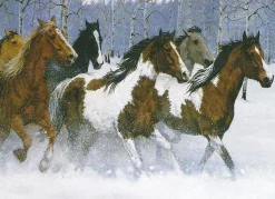 White Mountain - 357 - Wild Beauty - 1000piece